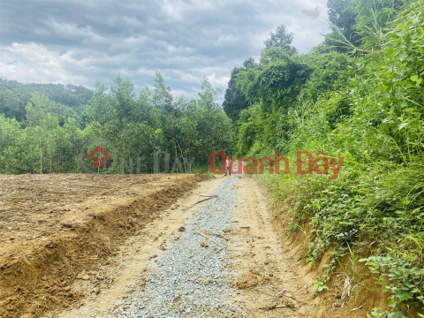 BEAUTIFUL LAND - GOOD PRICE - Land Lot For Sale In Khanh Thuong Commune, Khanh Vinh District, Khanh Hoa _0