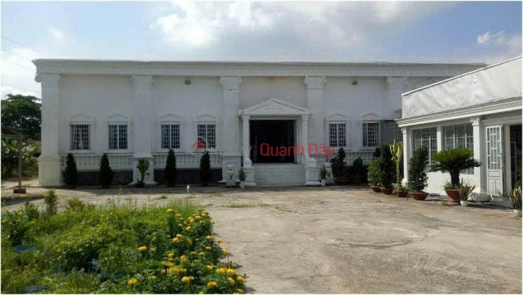 Owner urgently selling 1,554m2 of land with frontage on National Highway 1A, Nhi Thanh commune, Thu Thua district, Long An province. Sales Listings