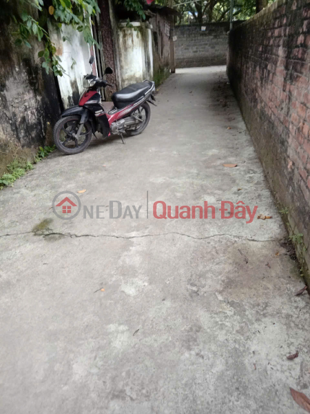 Property Search Vietnam | OneDay | Nhà ở Niêm yết bán | Đất đẹp ô tô đỗ cửa trung tâm xã phụng châu chương mỹ
-55m sẵn sổ đỏ
-gần chợ , đại học