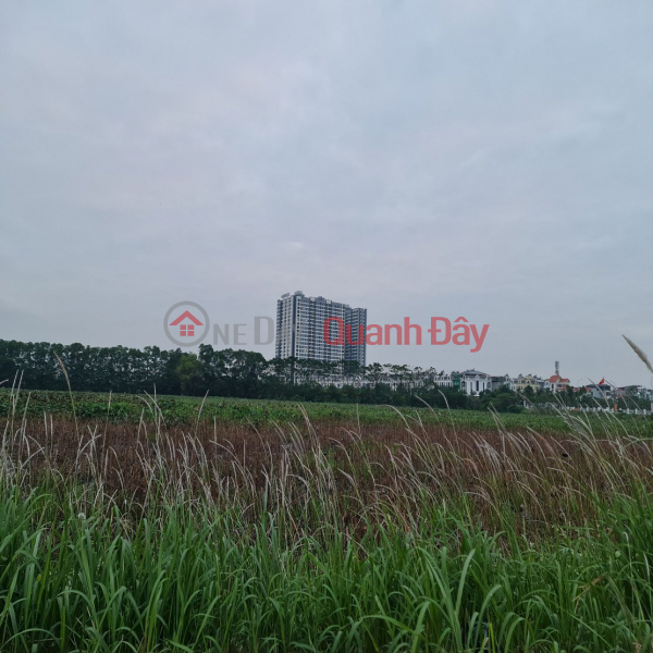 36m² trục đường 23m - Kinh doanh cực đẹp tại Trâu Quỳ, Gia Lâm ️ ️ Việt Nam Bán, đ 7,8 tỷ