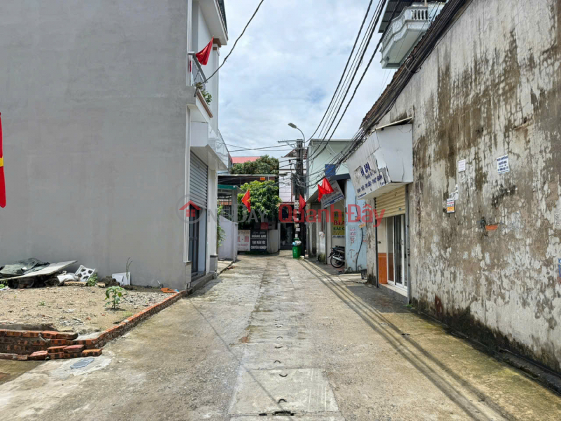 Land lot for sale in Gia Trung village, Quang Minh, Hanoi. 3 open sides, frontage for business | Vietnam Sales, đ 4.85 Billion