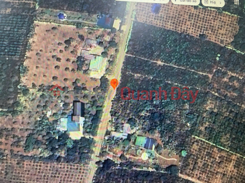 URGENT SALE Potential Land Lot in Hoa Ninh Commune, Di Linh, Lam Dong (real land, real owner, NO SPAM) _0