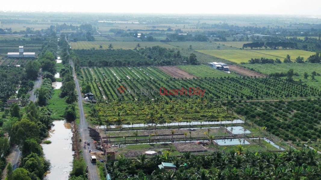 Property Search Vietnam | OneDay | Residential | Sales Listings Rare find - Super beautiful garden land in Thu Thua, priced at 789 million VND \\/ area 1000 sq m.