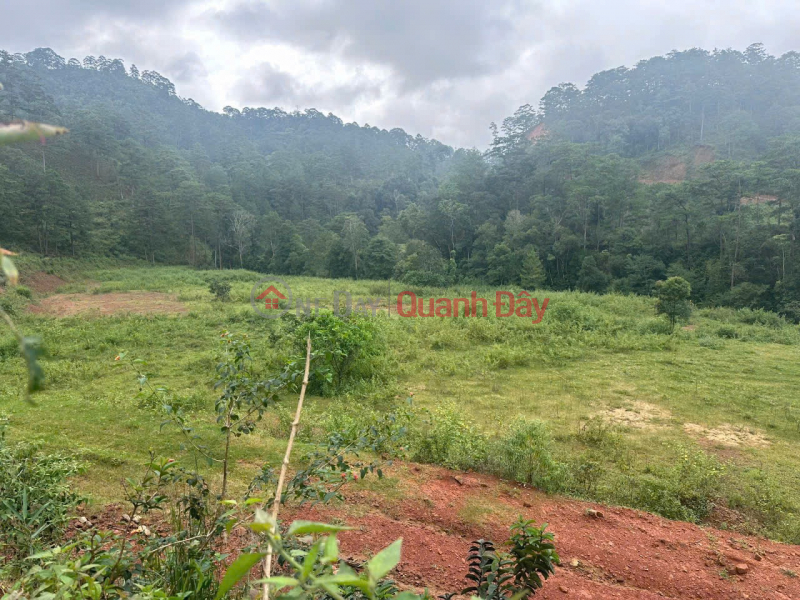 Property Search Vietnam | OneDay | Residential Sales Listings OWNER NEEDS TO SELL LAND URGENTLY IN Lat Commune - Lac Duong District - Lam Dong Province