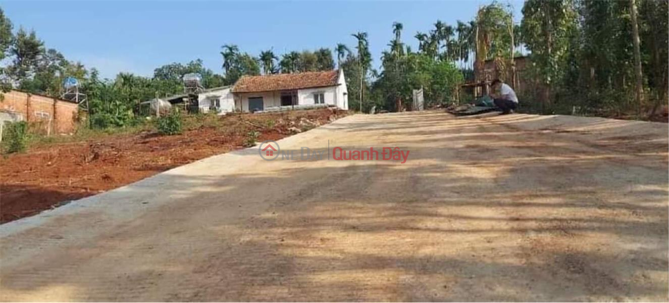 BEAUTIFUL LAND - GOOD PRICE - OWNER For Sale 3 Adjacent Lots Nice Location In Ea Tieu, Cu Kuin Sales Listings