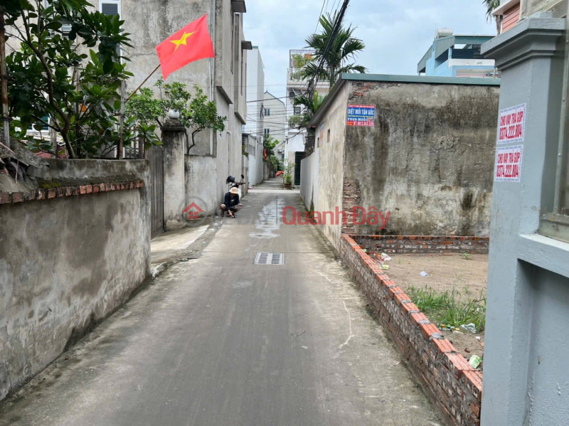 SIÊU HOT – LÔ ĐẤT CỔ DƯƠNG, ĐƯỜNG THÔNG, Việt Nam, Bán đ 5,3 tỷ