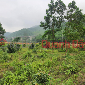 The owner sells garden land in front of asphalt road DT 601, Hoa Vang District, Da Nang City _0