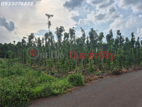 Bán đất tại Bình Trung, Châu Đức, Bà Rịa Vũng Tàu, DT 1.000m2, giá đầu tư _0