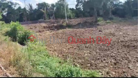 OWNER Sells Land Lot on Provincial Road 839, Thuan Binh Commune, Thanh Hoa, Long An. _0