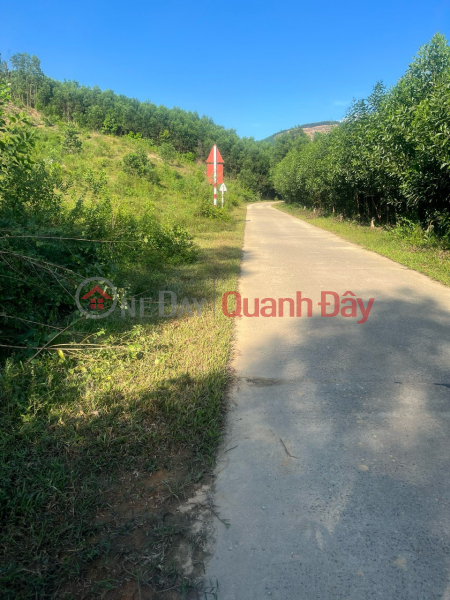 Property Search Vietnam | OneDay | Residential | Sales Listings, More than 28 acres (14,210 m2) of Production Forest land (RSX),Tinh Dong, Son Tinh, Quang Ngai priced at only 390 million
