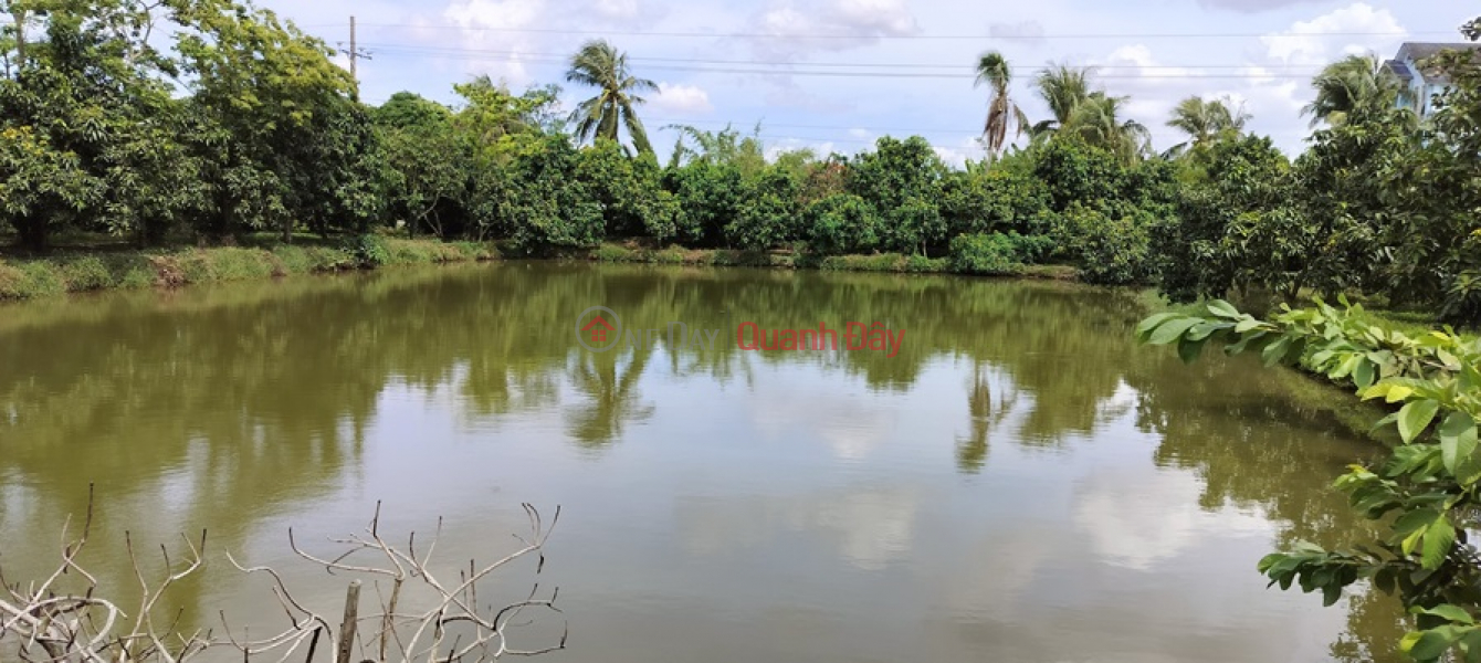 đ 500 Million | BEAUTIFUL LAND - GOOD PRICE! Owner Sells Land Lot FRONT 12M PHAM HUNG - Ward 8