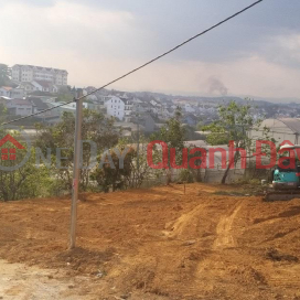 OWNER Needs to Quickly Sell Nice Plot of Land at Nam Ho Street, Ward 11, Da Lat City, Lam Dong Province _0