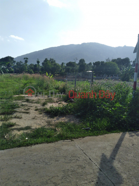 Property Search Vietnam | OneDay | Residential, Sales Listings, Owner Needs to Urgently Sell Land Plot, Nice Location, Bau Gia Lo Street, Xuan Truong Commune, Xuan Loc District, Dong Nai