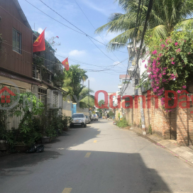 Bán nhà Đường 2, Long Trường, hẻm ô tô, 45m2, 2 tầng 3.8 tỷ _0