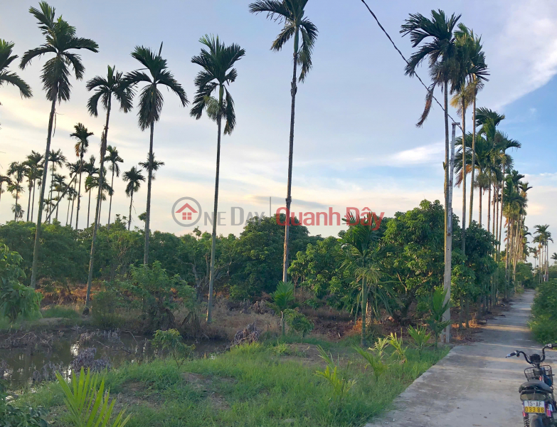 OWNER SELLS LAND IN FARM AREA, GARDEN AND FISH POND. Vietnam, Sales, đ 13 Billion
