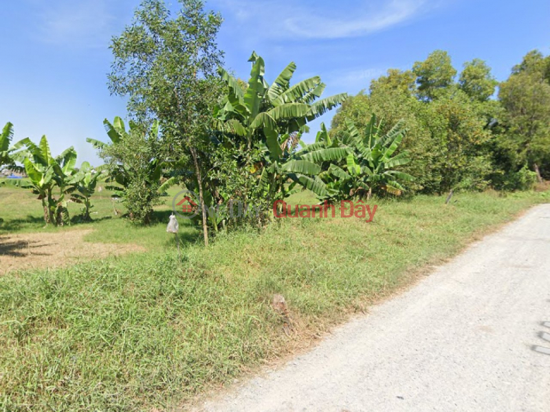 Shocking discount of 14 billion! SHR land, frontage 5839m2, expanding at the back - Central Canal Hoc Mon SS Sales Listings