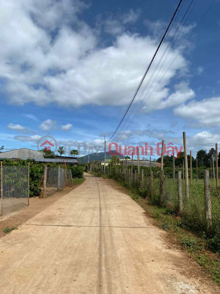 Property Search Vietnam | OneDay | Residential, Sales Listings POTENTIAL, SUPER CHEAP LAND LOT FOR SALE IN TIEN SON AREA - SEA AND LAKE - PLIEKU