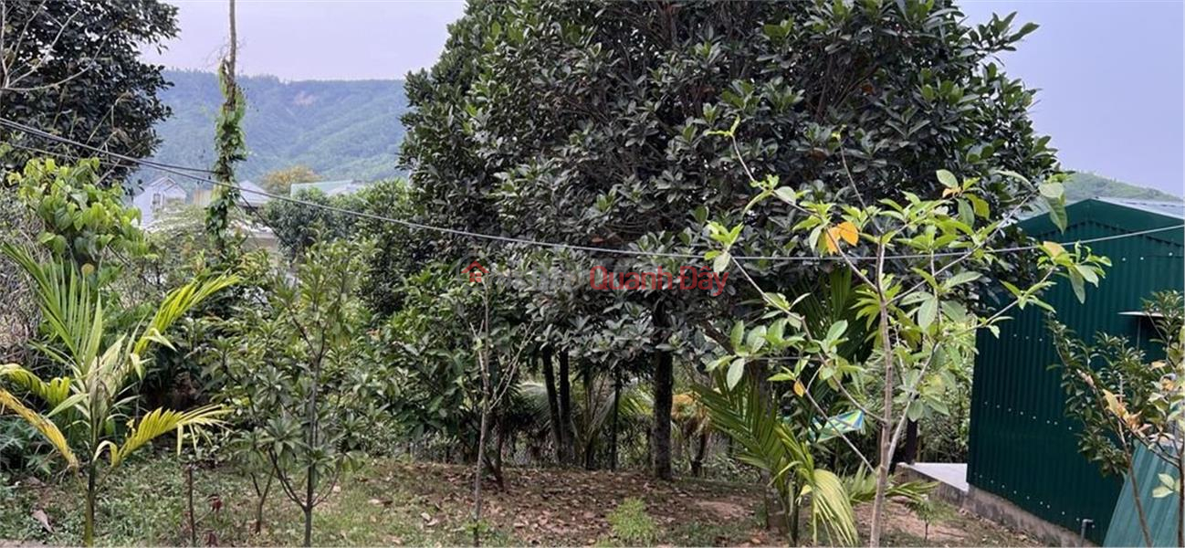 OWNER Sells Land for Fruit Garden in Dai La village - Dai La 6, Hoa Son, Hoa Vang, Da Nang, Vietnam, Sales, đ 680 Million