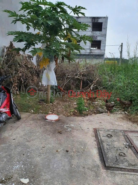 ĐẤT ĐẸP – GIÁ TỐT- CHÍNH CHỦ CẦN BÁN ĐẤT Tại Xã Vĩnh Tân, Thị xã Tân Uyên, Bình Dương _0