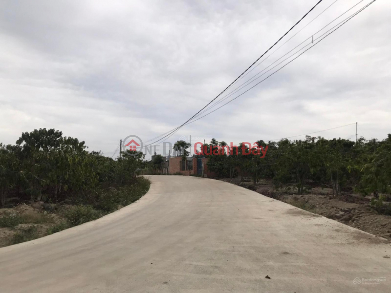 Property Search Vietnam | OneDay | Residential, Sales Listings, Land for sale 1.3 ha Ninh Gia, Duc Trong, Lam Dong, price 14.8 billion, 6m concrete road