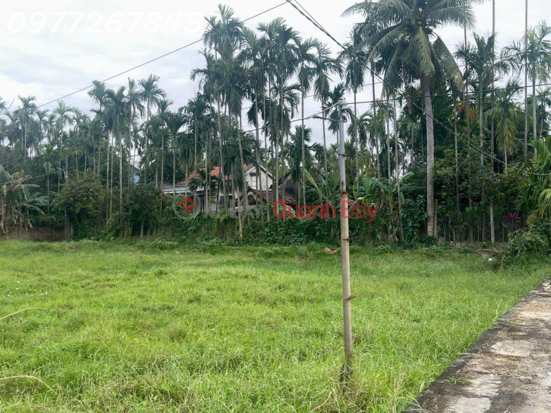 Rare opportunity - Land for sale in Hoi An, area 500m2, selling price 45 million VND\\/m2 | Vietnam | Sales | đ 45 Million