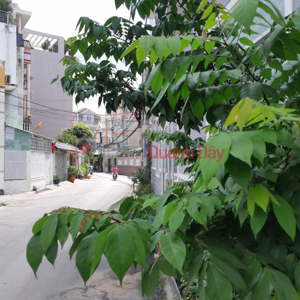 Whole house for rent on Nguyen Tuyen street, Binh Trung Tay, District 2, only 14 million. Rental Listings