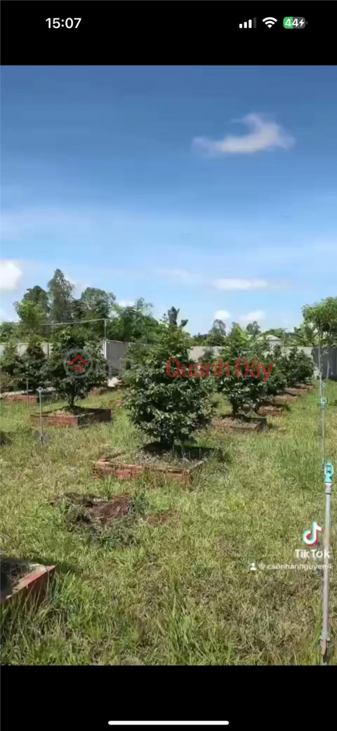 OWNER FOR FAST SALE Garden Plot - GOOD Price Location In Cho Moi District, An Giang _0