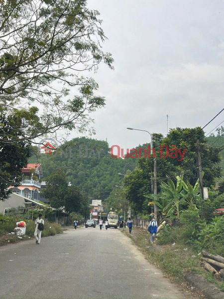 Property Search Vietnam | OneDay | Residential Sales Listings OWNER Needs to Quickly Sell a Plot of Land in Na Mo Village, Yen Dinh Commune, Cho Moi District, Bac Kan