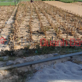 Bán thửa đất quy hoạch đất ở. Mặt đường 12m, trục chính đảo Lý Sơn, Quảng Ngãi _0