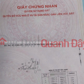 636m² Land in Tan Tuc - Binh Chanh District, Large Area, High Infrastructure Potential _0