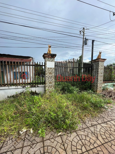 Property Search Vietnam | OneDay | Residential | Sales Listings | BINH PHUOC LAND - Road Front Lot for Sale at Phuoc Binh Ward, Phuoc Long Town, Binh Phuoc
