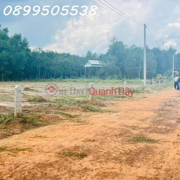 Quick sale Golden Opportunity: Beautiful Land, Surprisingly Cheap Price - Buy Now! Dau Tieng Binh Duong 290 million, Vietnam Sales đ 290 Million