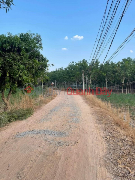 OWNER Needs to Sell Land in Nice Location in Ninh Dien Commune, Chau Thanh, Tay Ninh, Vietnam, Sales | đ 1 Billion