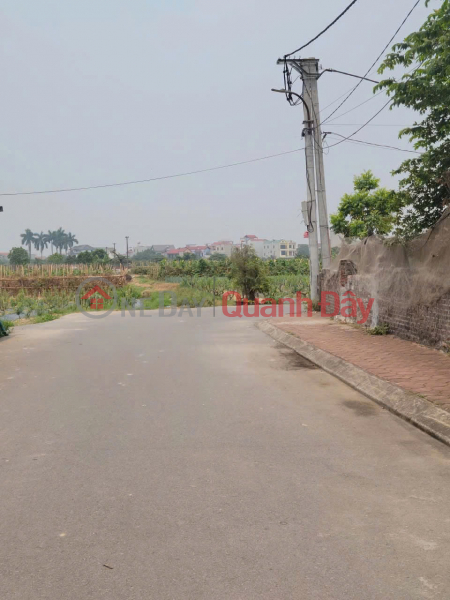 Property Search Vietnam | OneDay | Nhà ở Niêm yết bán, Bán đất Vân Nội, Đông Anh - 77m2, cách Võ Nguyên Giáp 400m, gần cầu Nhật Tân, giá chỉ 6.x nhỏ.m2