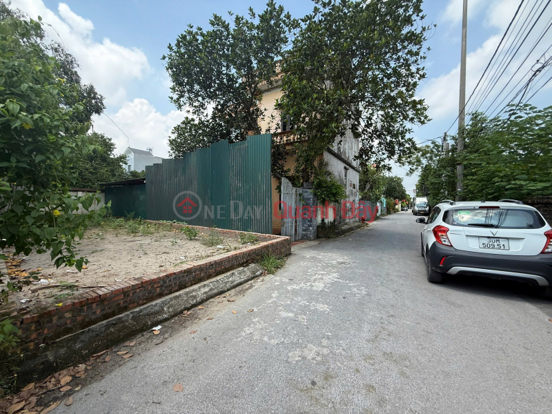 Chính chủ gửi bán hàng hiếm 100,6m bìa bắc Cổ Dương- Phúc Thịnh (Đông Anh cũ),Việt Nam, Bán | đ 12 tỷ
