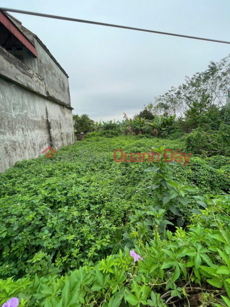 Property Search Vietnam | OneDay | Nhà ở, Niêm yết bán | Sở Hữu SIÊU PHẨM ĐẤT CHÍNH CHỦ - THỔ CƯ 100% - Thôn Phú Thọ, Quảng Phú, Lương Tài - Bắc Ninh