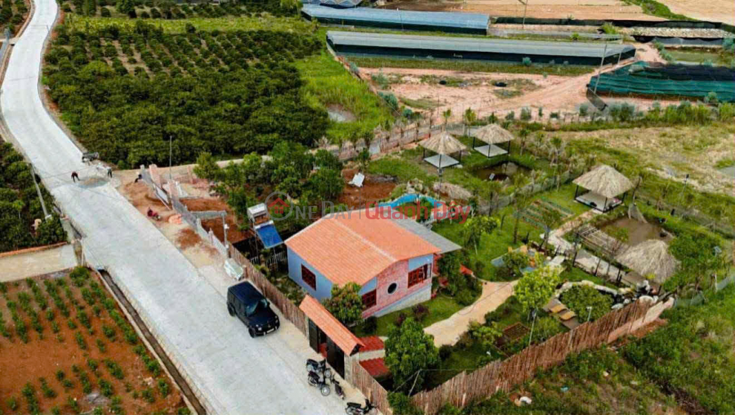 BÁN ĐẤT CAM LY ĐÀ LẠT - 8010M2, 338M2 THỔ CƯ, QUY HOẠCH FULL THỔ, GẦN CÁC ĐIỂM DU LỊCH Niêm yết bán