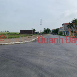 Land for sale at the cheapest auction in the area in Hoa Phong commune, My Hao, Hung Yen _0