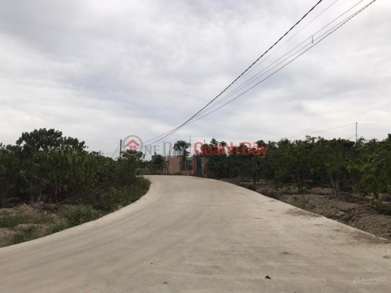 Land for sale 1.3 hectares in Ninh Gia, Duc Trong, Lam Dong, price 14.8 billion 6m concrete road, Vietnam, Sales, đ 14.8 Billion