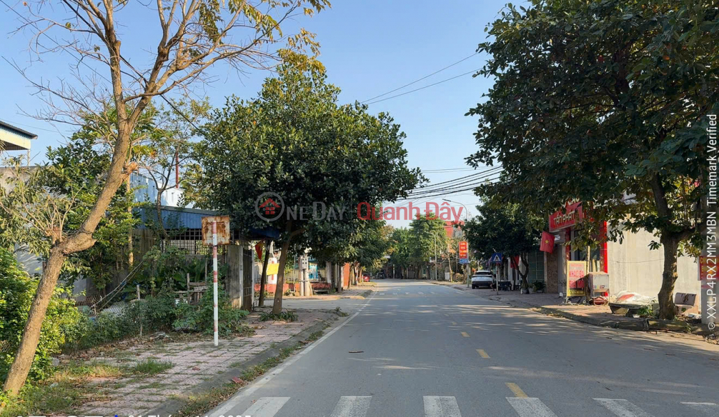 Land on Pham Van Dong Street – Adjacent to the Party Committee of Xuan Hoa Ward, Phu Tho – 100m² Full Residential Land Sales Listings
