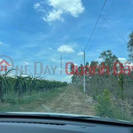 OWNER NEEDS TO SELL LAND LOT - CHEAP PRICE In Ham Thuan Nam, Binh Thuan _0