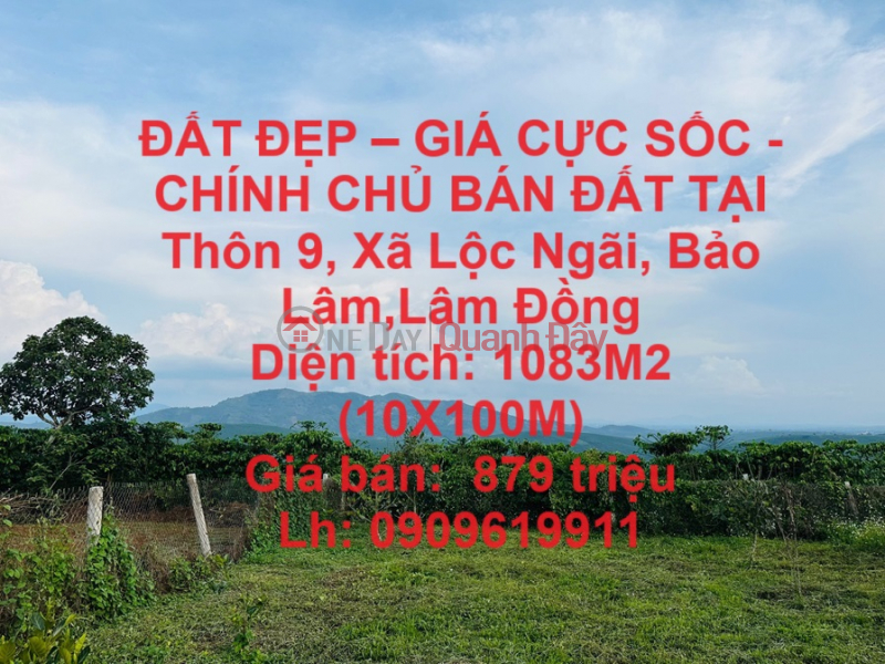 ĐẤT ĐẸP – GIÁ CỰC SỐC - CHÍNH CHỦ BÁN ĐẤT TẠI Thôn 9, Xã Lộc Ngãi, Bảo Lâm,Lâm Đồng Niêm yết bán