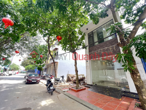 House for sale on Ben Lang street, 60m 4 floors PRICE 6 billion, very nice location close to Trung Luc _0