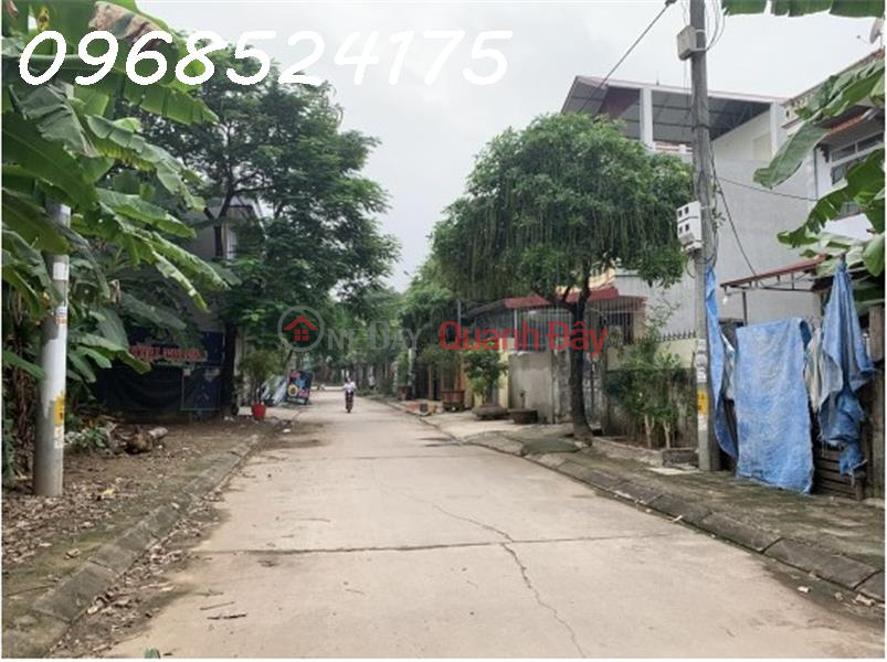 The owner cut losses and urgently sold the residential land in Quyet Tien village, Van Con commune, Hoai Duc district, Hanoi., Vietnam | Sales, ₫ 1 Billion