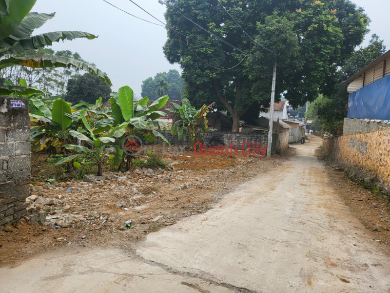 Property Search Vietnam | OneDay | Residential, Sales Listings | Just over 600 million - Bank-stricken owner needs to urgently sell 74m² plot of land located at Nam Phuong Tien, Chuong My, Hanoi