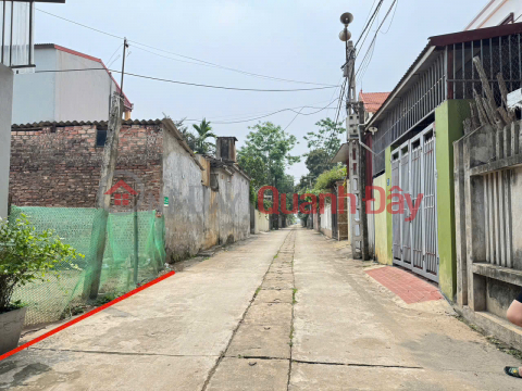 Selling 100m2 of land in Hoang Kim, Me Linh, Hanoi. Clear road, car access, frontage for business _0