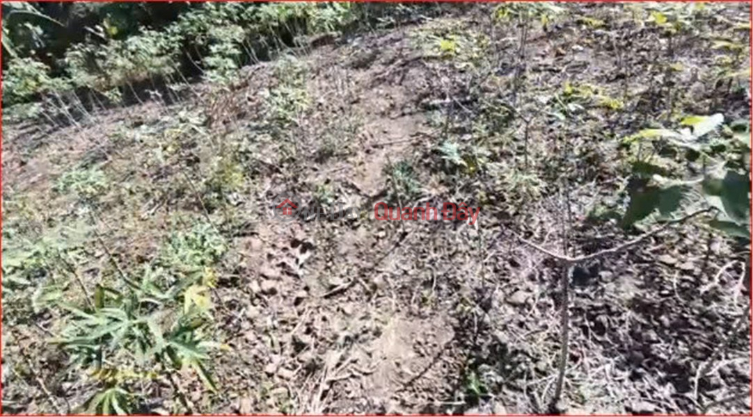  | Làm ơn chọn, Nhà ở | Niêm yết bán đ 200 triệu