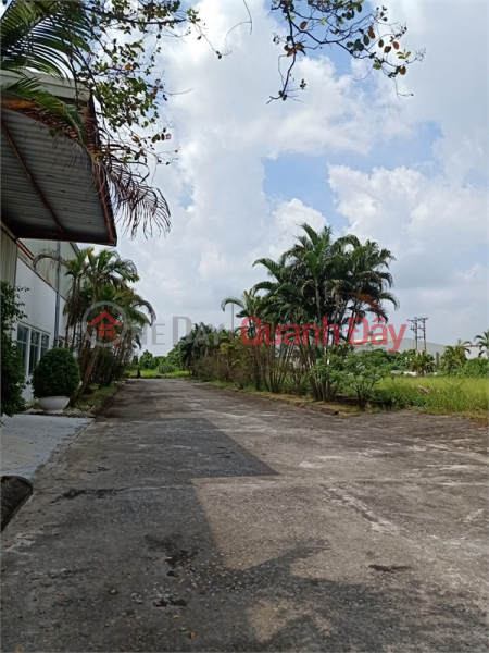 Need to transfer waste treatment plant in Yen Bai Province. Area 9 hectares Sales Listings