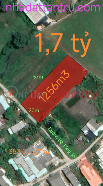 Urgent sale of rice land plot An Nhut Tan Tan Tru for 1.7 billion Sales Listings