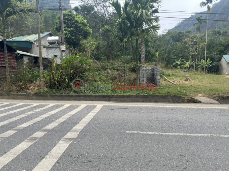 FOR SALE 2 CHEAP LAND Lots with super profit potential X2,X3 At Highway 217, Trung Ha, Quan Son, Thanh Hoa | Vietnam | Sales, ₫ 279 Million